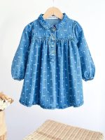 Denim Elbise - Görsel 3